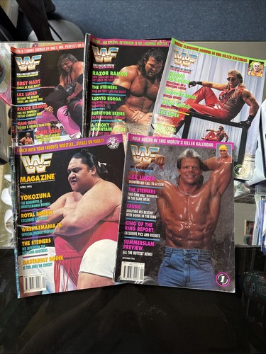 Wwf magazine job lot 1993 - job,
