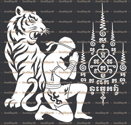 Muay thai tiger - muay,