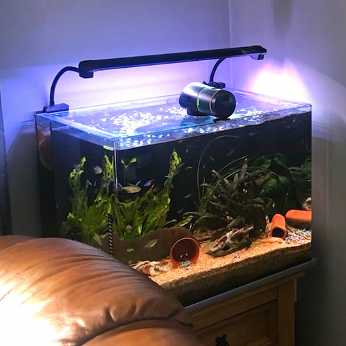 Aqua one gal approximately - aqua,
