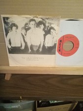 Rare Ohio  45 : The Wild
