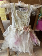 Beautiful Fairy Costume -