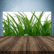 Kitchen rear wall glass