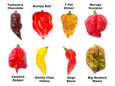 Worlds HOTTEST Chilli - 30 Seeds - 8 Varieties inc Carolina Reaper - FRESH SEEDS