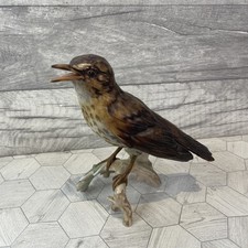 Vintage Goebel Song Thrush
