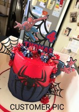 Personalised Spiderman Cake Topper Five Piece Set. Main Topper 16cm Wide