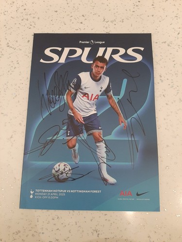 Tottenham hotspur authentic - hotspur,