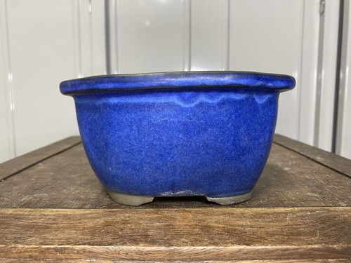 Blue glaze bonsai - bonsai, quince