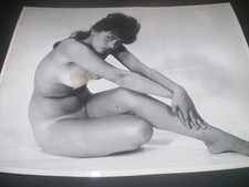 1960's original  SOPHIA DAWN  glamour HARRISON MARKS model photograph  10 x 8