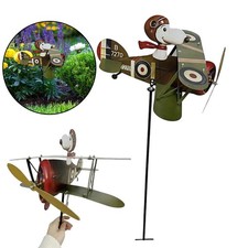 Pilot Flying Biplane Wind