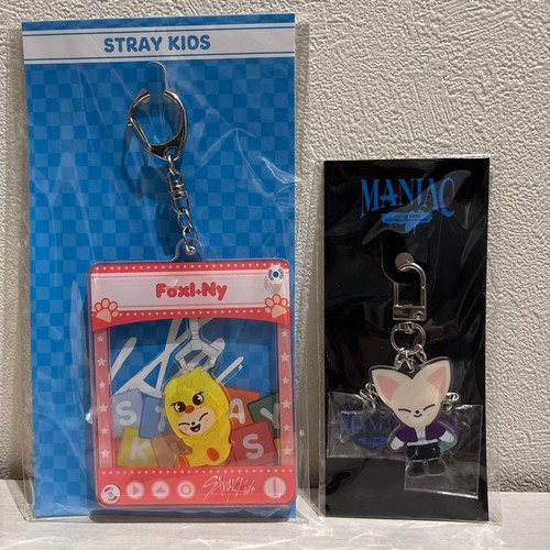 Stray kids foxi acrylic - stray,