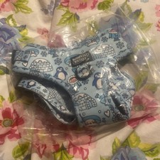 RARE Wagnificent Boutique blue