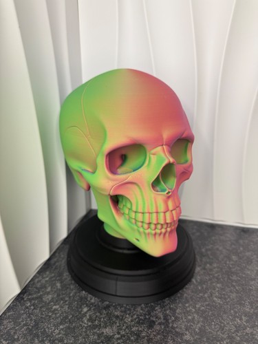 Funky human skull - , on
