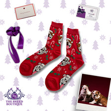 ENGLISH BULLDOG CHRISTMAS SOCKS – RED FESTIVE DOG GIFT UK 5–11 US 6–12 EU 38–46