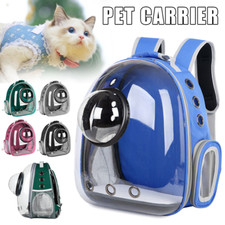 Astronaut Window Dog Cat