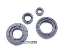 MAICO MC GS 250 400 440 490 ( 1978 1979 1980 1981 1982 )Full Engine Oil Seal Kit