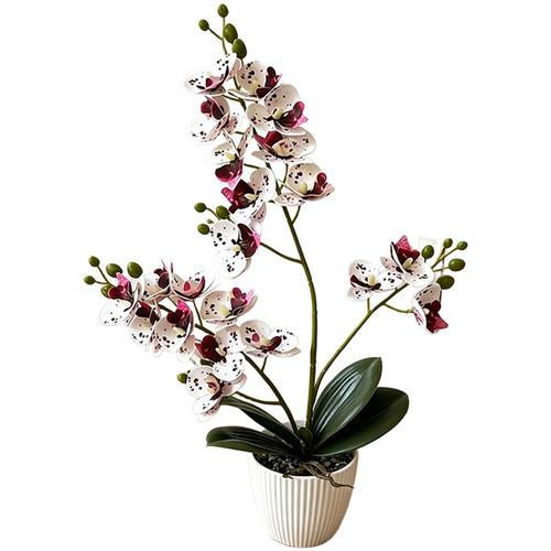 Artificial phalaenopsis orchid - phalaenopsis,