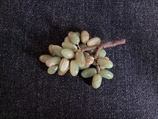 Vintage variegated green and brown carved stone grapes. 2 Stems. GC