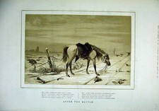 Original Old Antique Print