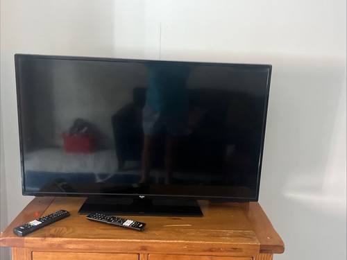 Bush - , tv