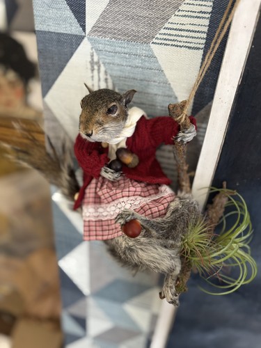 Squirrel taxidermy roadkill - roadkill,