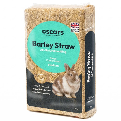 Small pet animal barley - small,