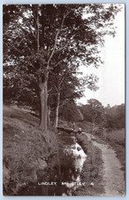 Otley  Lindley Wood Yorkshire Postcard Real Photo  wy 131