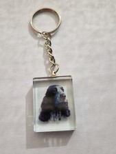 Blue Roan Cocker Spaniel