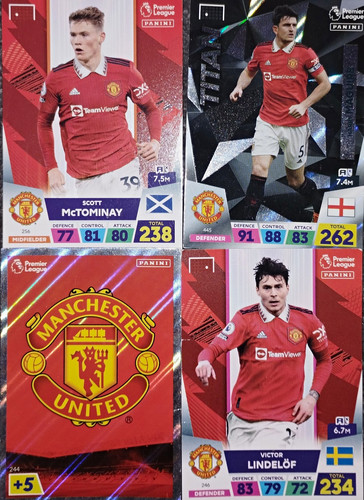 Panini adrenalyn premier - panini,