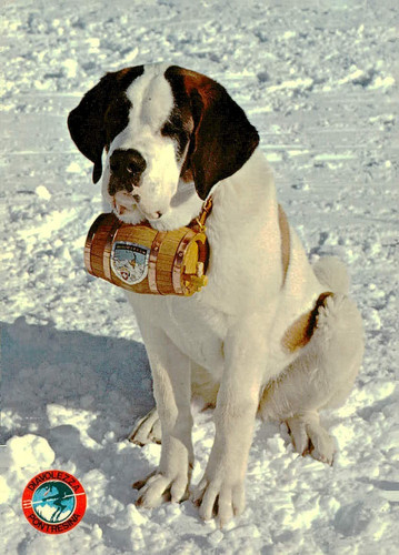 Vintage bernard puppy - st.,