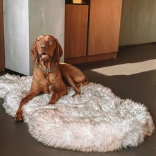 Luxury Faux Fur Orthopedic Dog