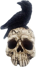 Raven on Skull Halloween Decoration - Gothic Crow on Skull Statue, Bird Perchin