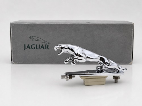 Jaguar leaping cat - jaguar, hood
