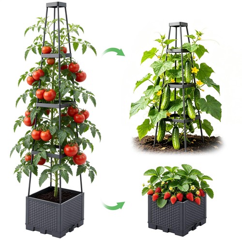 2pcs tomato grower pot - 2pcs,