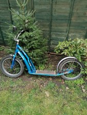 Push scooter for Husky 