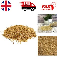 200g Natural Budgie Seed Mix