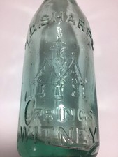 Stunning OXFORDSHIRE Pictorial