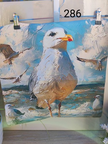 Seagull beach effect - at, 2d