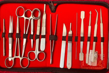 Dissecting Stainless Steel