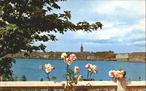 Vintage montrose from ferryden - vintage,