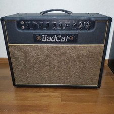 Excellent Bad Cat Hot Cat 30