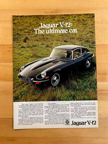 1972 print jaguar - 1972,