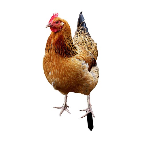 Hen statue garden - garden, stake