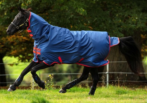 Horseware mio all one - horseware,