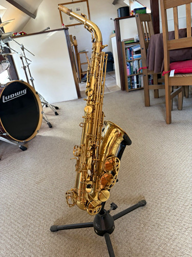Yanagisawa alto a010 - alto,