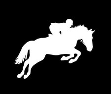 Horse Jumps Jumping Horse