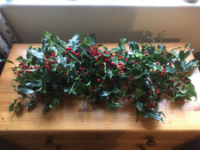 50 fresh freshly cut  holly