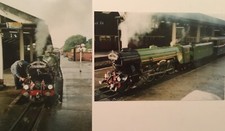 PHOTOS, GREEN GODDESS ROMNEY