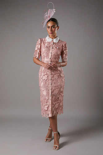 Coast blush midi - dress, womens