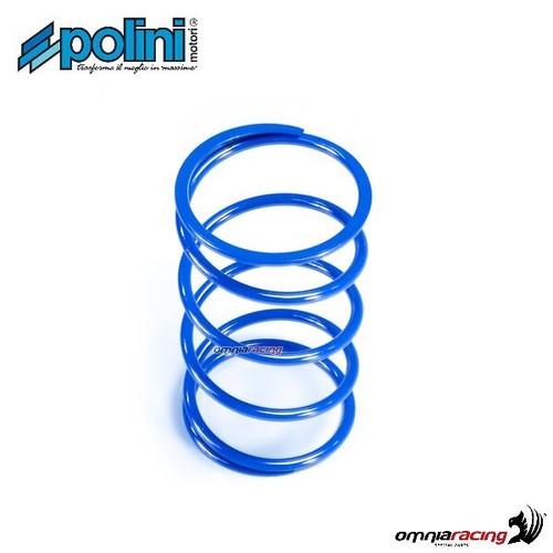 Polini contrast spring for
