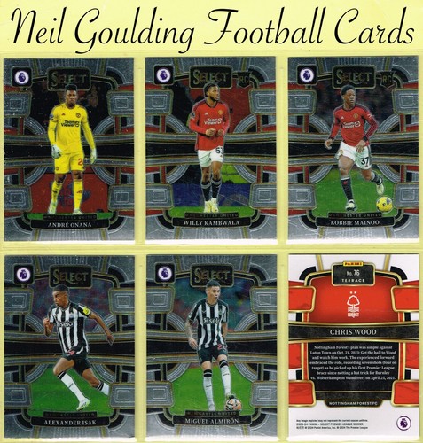 Panini select soccer - panini, ☆